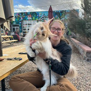 Meet your Posher, Carly